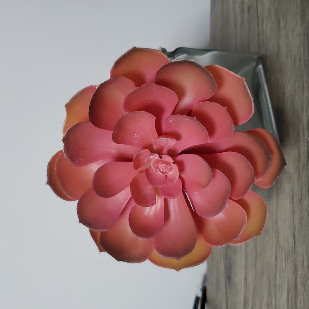 ASHLAND PICK ORANGE FLOWER